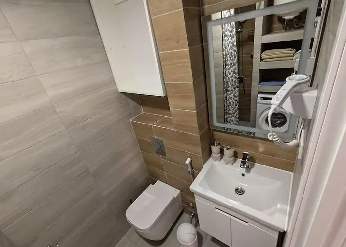 Apartman Larramendi *